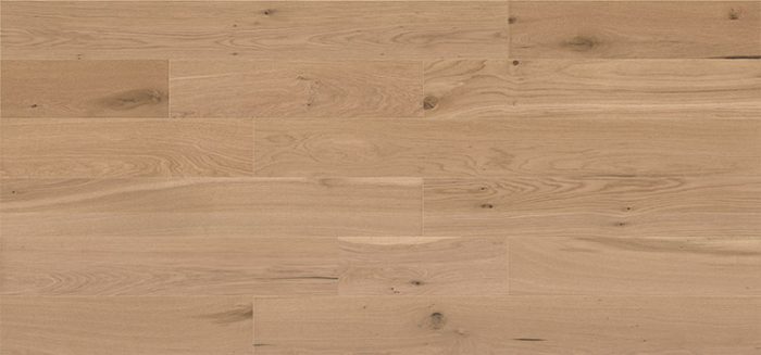 dab-della-polac-750x350-1